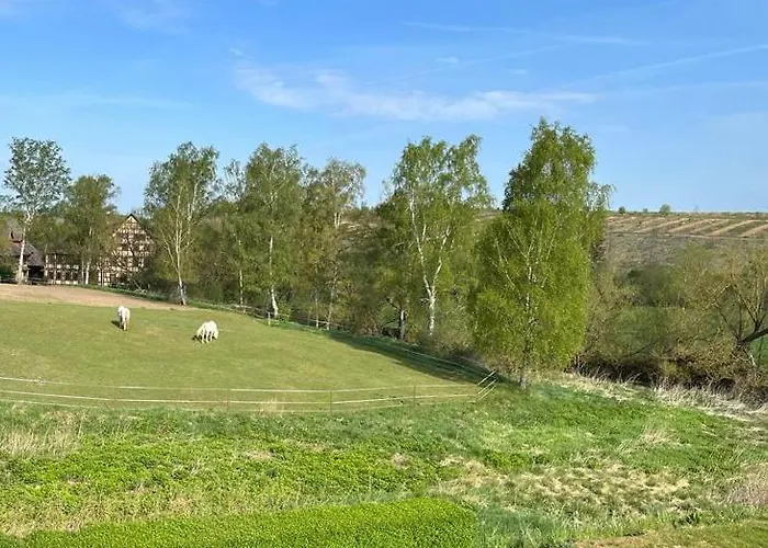 Js Feriendomizile Haus Sonnenschein Bettwaesche Handtuecher Inkl 펜션 *